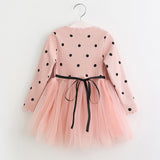 Polka Dots Tulle Princess Dress Girls